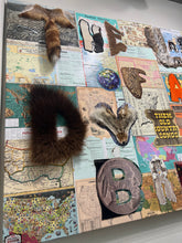 Load image into Gallery viewer, Who Am I ? (Homo Sapiens & Homo Neanderthalensis)