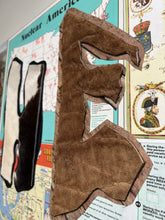 Load image into Gallery viewer, Who Am I ? (Homo Sapiens & Homo Neanderthalensis)