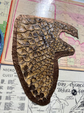 Load image into Gallery viewer, Who Am I ? (Homo Sapiens & Homo Neanderthalensis)