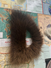 Load image into Gallery viewer, Who Am I ? (Homo Sapiens & Homo Neanderthalensis)