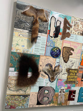 Load image into Gallery viewer, Who Am I ? (Homo Sapiens & Homo Neanderthalensis)