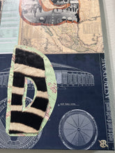 Load image into Gallery viewer, Who Am I ? (Homo Sapiens & Homo Neanderthalensis)