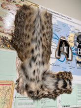 Load image into Gallery viewer, Who Am I ? (Homo Sapiens & Homo Neanderthalensis)