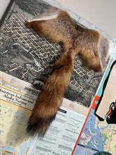 Load image into Gallery viewer, Who Am I ? (Homo Sapiens & Homo Neanderthalensis)