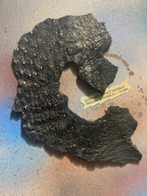 Load image into Gallery viewer, No More Check To Check