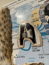 Load image into Gallery viewer, Who Am I ? (Homo Sapiens & Homo Neanderthalensis)