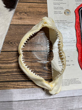 Load image into Gallery viewer, You Are What You Eat (Pescatarian & Carnivores)